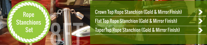 Rope Stanchions Set in 8ft VR